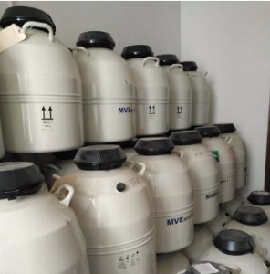 储存型液氮罐 XC 20