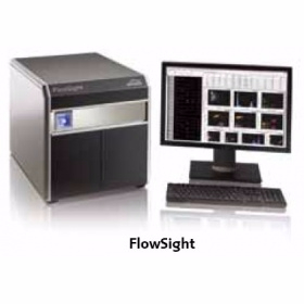 高速成像流式细胞仪能照相的流式细胞仪 Amnis