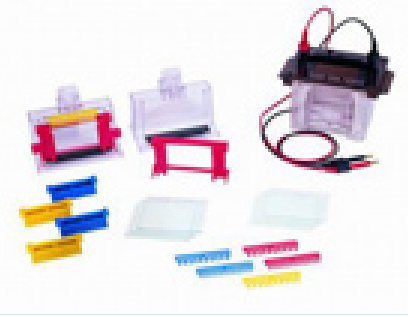 垂直电泳槽 VE-180