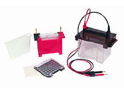 转移电泳槽 VE-186