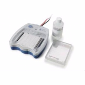 预制胶水平蛋白电泳系统 GE Amersham? ECL? Gel system