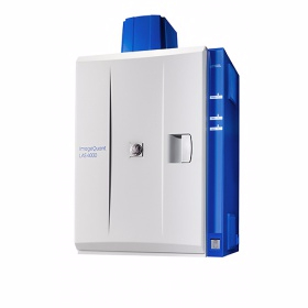 化学发光成像分析仪 ImageQuant LAS 4000