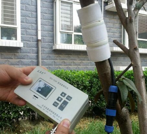 植物茎流量测定仪 JZ-YL04
