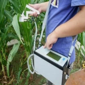 光合测定仪 ECA-PBO4O2