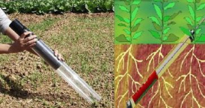 植物根系生长动态监测系统 STEG-007