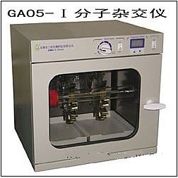 分子杂交仪 GA05-Ⅰ