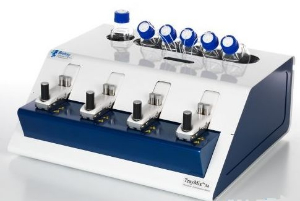 自动分子杂交工作站 FPBIO-traymix-s4