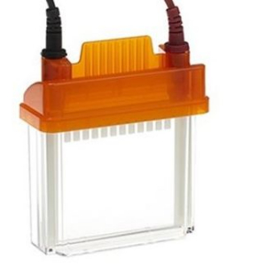 EZ-PAGE 一体化凝胶电泳系统 P0001