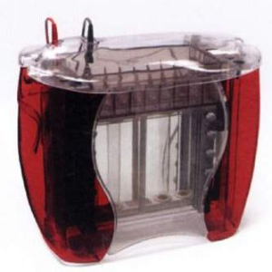 控温式标准垂直电泳仪 SE600CHROMA