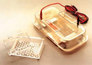 迷你型水平电泳仪 HE33