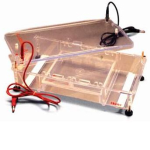 标准型水平电泳仪 HE99×MAX