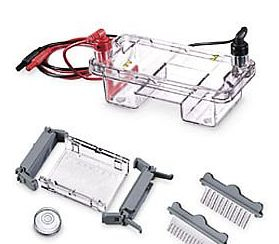 Sub System 水平电泳槽 E0310