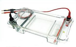 多用途水平电泳仪 BG-subMIDI