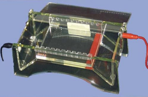 水平电泳槽 JS-360F