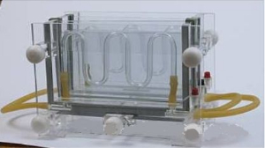 双板夹芯垂直电泳槽 WS-DB6