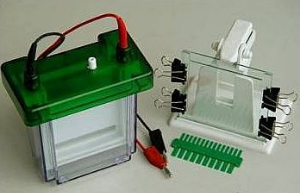 双垂直电泳槽 WS-DB2