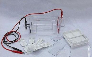 多功能琼脂糖水平电泳槽 XH-SP01