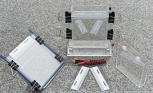 单垂直电泳槽 XH-CZ02