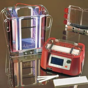 双向蛋白电泳 IEF-100 套装