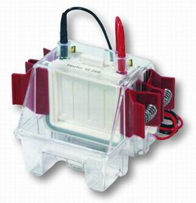 小型水冷垂直电泳 SE250