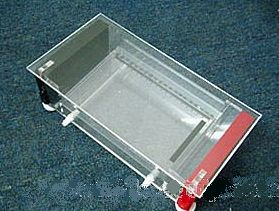 琼脂糖水平电泳槽 DG-31CN