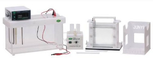 变性梯度凝胶电泳系统 JY-TD-331