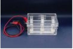 蛋白回收电泳槽 RDY-HS1