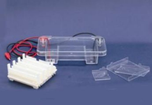 琼脂糖水平电泳槽 RDY-SP1Z