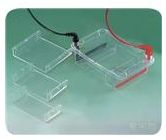 Wealtec电泳槽 Mini-GES