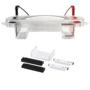 Enduro水平电泳系统 E1015