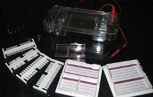 琼脂糖多功能水平电泳槽 HT-SUB02