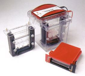 垂直印迹电泳 Hoefer miniVE