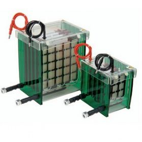 转印电泳 TV100-EBK