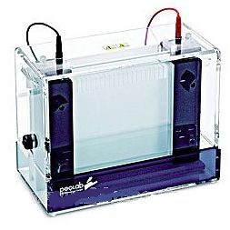 垂直电泳槽系列 PerfectBlue