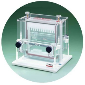 中型垂直电泳槽 AE-6200