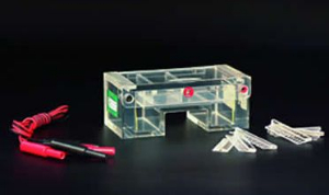 琼脂糖水平电泳仪 DYCP-31C