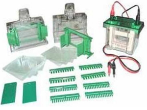 双垂直电泳槽 MLBL-Mini3