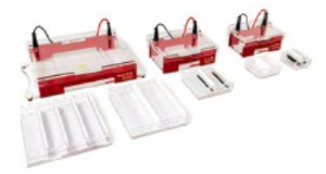 水平电泳槽 Compact L