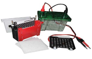 转印电泳槽 DYC-ZY2