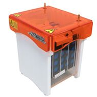 水平电泳槽 M-10DSYS