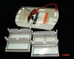 琼脂糖水平电泳槽 DYCP-I