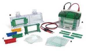 小垂直板电泳槽 165-8000