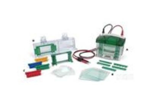 小型垂直电泳槽 164-8003