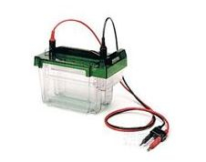 中型垂直电泳槽Criterion Cell 165-6001