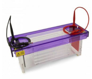 高通量水平电泳槽 CSL-MULTISUB4