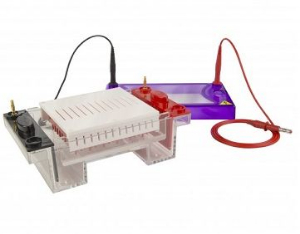 96孔水平电泳仪 MSMIDI96系列