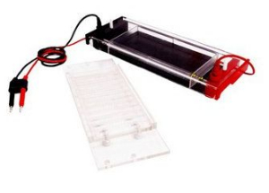 水平电泳槽 HD-3546