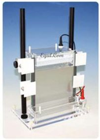 可调式超大型垂直电泳系统 E-LDASG