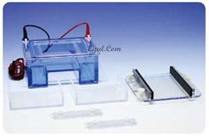 中型水平电泳 E-GCMGU