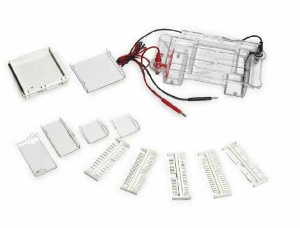 水平电泳槽 YR-158